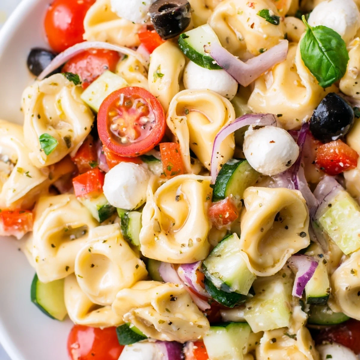 Colorful tortellini salad with cherry tomatoes, cucumber, and mozzarella in Italian dressing